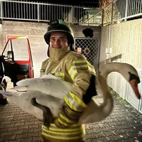 Einsatz Tierrettung 2023.jpg