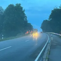 THL 1 Baum auf Straße 2023 1.jpg
