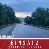 THL 1 Baum auf Straße 2024.jpg