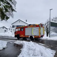 THL 1 Baum auf Straße 2023 3.jpg