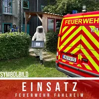 THL 1 Insekten 2024.jpg