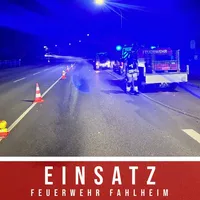 THL 1 Straße Reinigen 2024 1.jpg