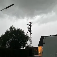 THL 1 Maibaum.jpg